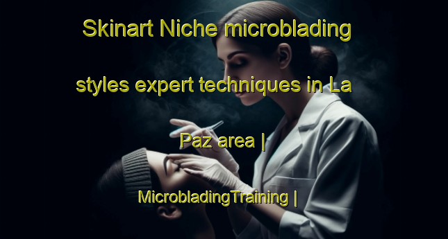 Skinart Niche microblading styles expert techniques in La Paz area | MicrobladingTraining | MicrobladingClasses | SkinartTraining-Venezuela